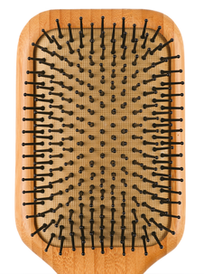 Hårborste bambu