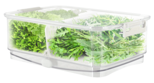 Duo Medium Säilytyslaatikko jääkaappiin vihannekset 2,75 l