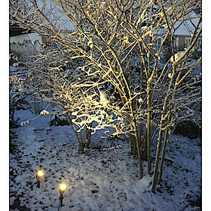 Trädgårdsbelysning Flora LED 2-pack