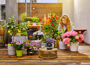 Gardena solcellsbevattning AquaBloom