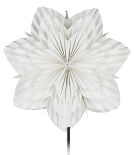 Northlight adventsstjärna veckad blomma, vit
