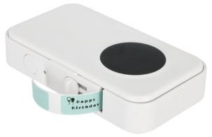 Tarraetiketit 1,4 x 3 cm, pastelli, 160 kpl