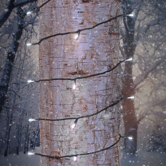 Ljusslinga med kallvita LED-lampor Northlight