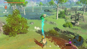 The Legend of Zelda: Tears of the Kingdom, Nintendo Switch 2