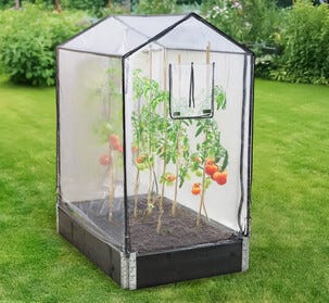 Korkea kasvihuone lavakaulukseen, muovipäällys, 120 x 80 x 135 cm