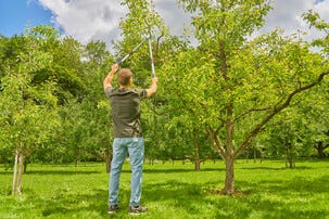 Gardena TeleCut Basic greinsaks med teleskopskaft og sideskjær