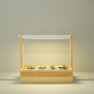 Drivbänk inomhus LED och timer, vit/trä