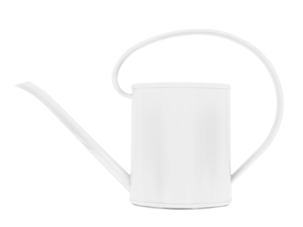 Vattenkanna