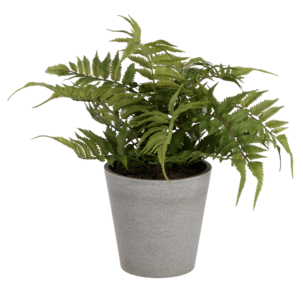 Saniainen tekokasvi 36 cm
