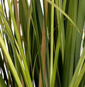 Gräs konstväxt, 83 cm