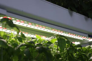 Sett for hydroponisk dyrking med 90 plugger, 3 etasjer