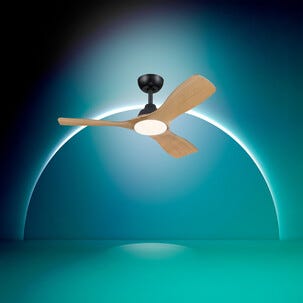 Philips Olas stor takvifte med lys, 106 cm