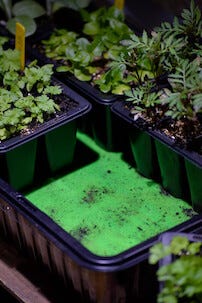 Nelson Garden vanningsmatte 0,5 x 1 meter