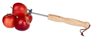 Teleskopisk grillspyd