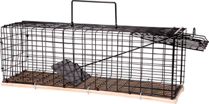 Burfälla, MotRåtta