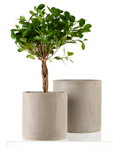 Blomsterkrukker av betong, 2-pack