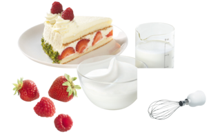 Stavmixer Bosch MSM14500