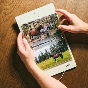 Fotoalbum A5 för plastfickor