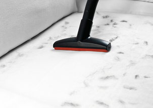 Bosch Zoo'o ProAnimal BGL45ZOO1 støvsuger