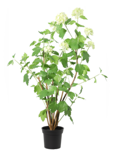 Konstväxt trädgårdshortensia vit, 98 cm