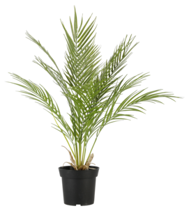 Kunstig palme, 64 cm