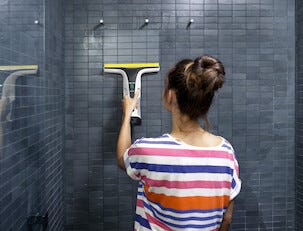 Kärcher WV 6 Plus fönstertvätt