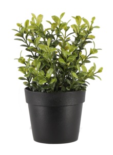 Puolukanvarpu 19 cm