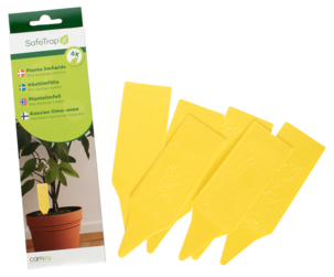 SafeTrap plantelimfelle mot insekter, 6-pakning