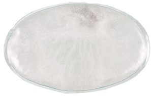 Värmepåse återanvändbar 2-pack 