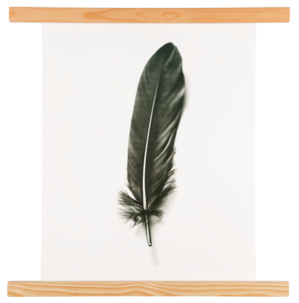 Affischlist furu, 52 cm