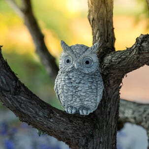 Northlight uggla med lysande ögon solcell, 14,5 cm