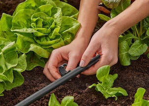 Gardena rørholdere på 4,6 mm, 3/16 tomme, 15-pakning