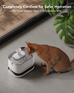 Petlibro Dockstream vattenfontän katt batteri 2,5 l