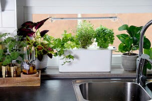 Hydroponiskt odlingskit Harvy 3, 3 delar