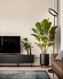 Kasvivalaisin lattialle, ajastin, korkeus 164,5 cm