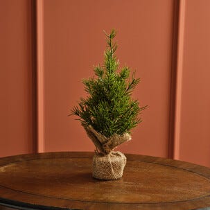 Mini bordsgran med jutefot, 30 cm