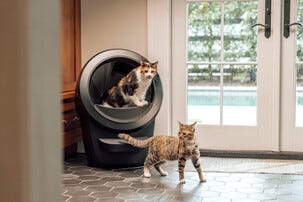 Whisker Litter-Robot 4 självrengörande kattlåda