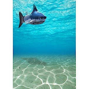 Radiostyrd haj Shark in a can
