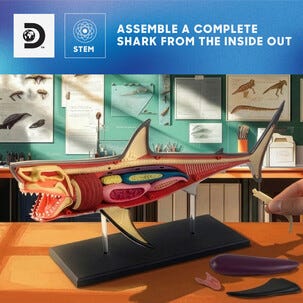 Discovery 4D Shark Anatomy Kit byggesett hai, fra 6 år
