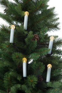 Trådlös julgransbelysning med RGB-ljus Northlight