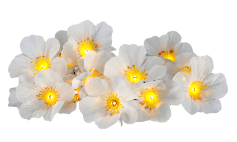 Aurinkokennovaloketju