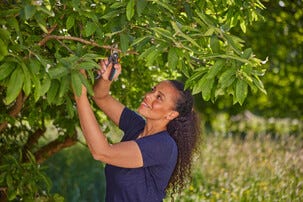 Gardena PremiumCut hagesaks med sideskjær