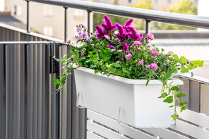 Hammarplast Botanica blomsterkasse, 80 cm