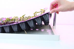 Växtbelysning LED med justerbar ställning och odlingstråg