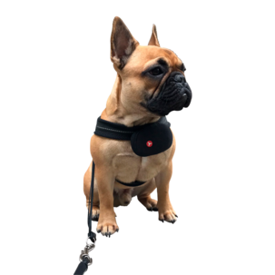 GPS-paikannin Yepzon One