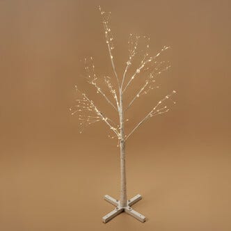 Lystre utendørs / innendørs, Northlight