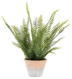 Ormbunke konstväxt, 46 cm