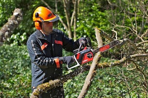 Batteridriven motorsåg Oregon CS250