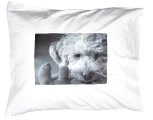 T-shirtpapper för vita/ljusa plagg Clas Ohlson 