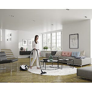 Electrolux PowerForce EPF61IW dammsugare